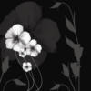 Схема вышивки «White Flower on Black»