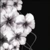 Схема вышивки «White Flower on Black»