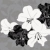 Схема вышивки «Black-and-White on Gray»
