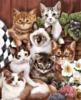 Схема вышивки «Коты и кошки»