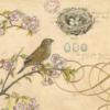 Схема вышивки «Bird Decoration»