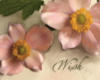 Схема вышивки «Pink Flowers - Inspiration»