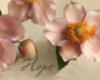 Схема вышивки «Pink Flowers - Inspiration»