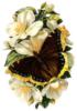 Схема вышивки «Cерия бабочки и цветы»