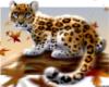 Схема вышивки «Котёнок ягуара»