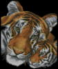 Схема вышивки «Тигрица и тегренок»