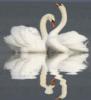 Схема вышивки «Лебеди»