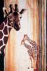 Схема вышивки «African Composition - Giraffe»