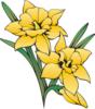 Схема вышивки «Yellow Flowers - Easy»