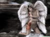 Схема вышивки «Раненый ангел»