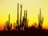 Схема вышивки «Sunset, Arizona»
