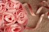 Схема вышивки «Розы/Rose»