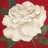 Схема вышивки «White Flower on Red»