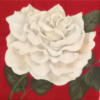 Схема вышивки «White Flower on Red»
