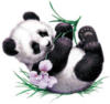 Схема вышивки «Панда малыш»