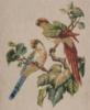 Схема вышивки «Пара попугаев»