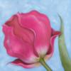 Схема вышивки «Pink Tulip on Blue»