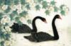Схема вышивки «Два чёрных лебедя»