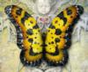 Схема вышивки «Тропическая бабочка»