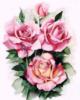 Схема вышивки «Pink Roses»