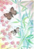 Схема вышивки «Бамбук и бабочки»
