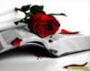 Схема вышивки «Книга, роза...»