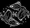 Схема вышивки «Рыбки на чёрном»