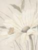 Схема вышивки «White Flowers on Tan»