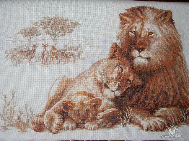 Схемы Африканские Львы Для Вышивки Крестом