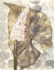 Схема вышивки «Exotic Flower on Gray-Set of 4»
