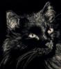 Схема вышивки «Чёрный кот на чёрном»