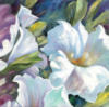 Схема вышивки «White Flowers Close Up»