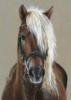 Схема вышивки «Портрет белогривой лошадки»