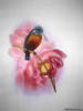 Схема вышивки «Птица на цветке»