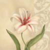 Схема вышивки «White Flower on Tan»