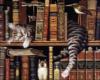 Кот в библиотеке: оригинал