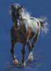 Схема вышивки «Свободный бег коня»