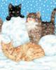 Котики и снегопад: оригинал