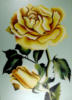 Схема вышивки «Romantic Roses»