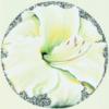 Схема вышивки «White Lily on Sand»