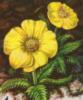 Схема вышивки «Жёлтые цветочки»