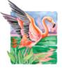 Схема вышивки «Flamingo Paradise»
