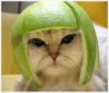 Схема вышивки «Funny cat»