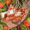 Схема вышивки «Милый котик в гамаке и яблоки»
