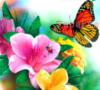 Цветы и бабочка: оригинал