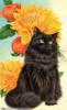 Схема вышивки «Чёрный кот и жёлтые цветы»