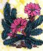 Схема вышивки «Цветущий кактус»