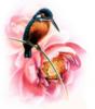 Схема вышивки «Маленькая птичка и цветок»