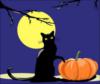 Схема вышивки «Чёрный кот и полная луна»