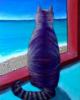 Схема вышивки «Кот, мечтающий о море»